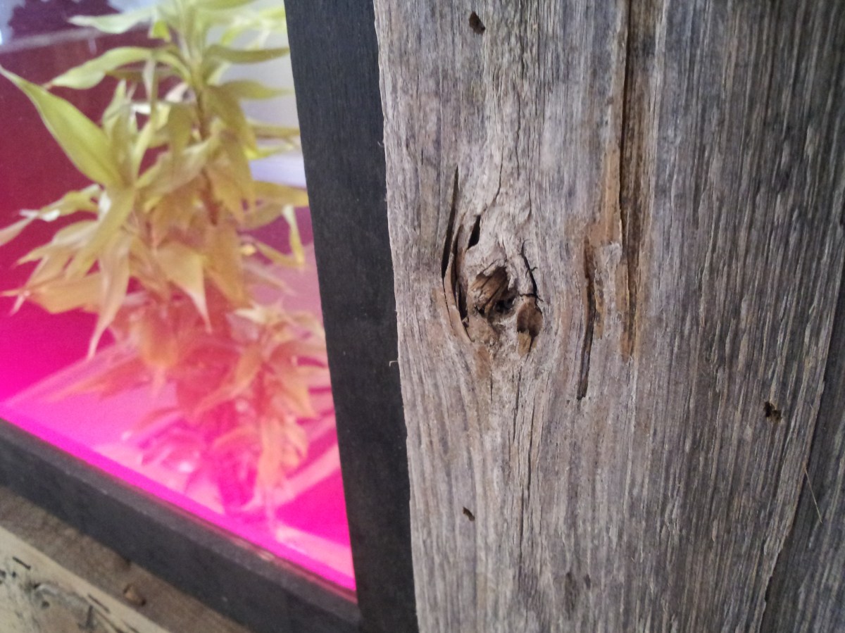 A close-up look at IMPARTWORKS design.